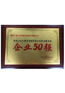 2020年湖南軟件和信息技術(shù)服務(wù)業(yè)企業(yè)50強